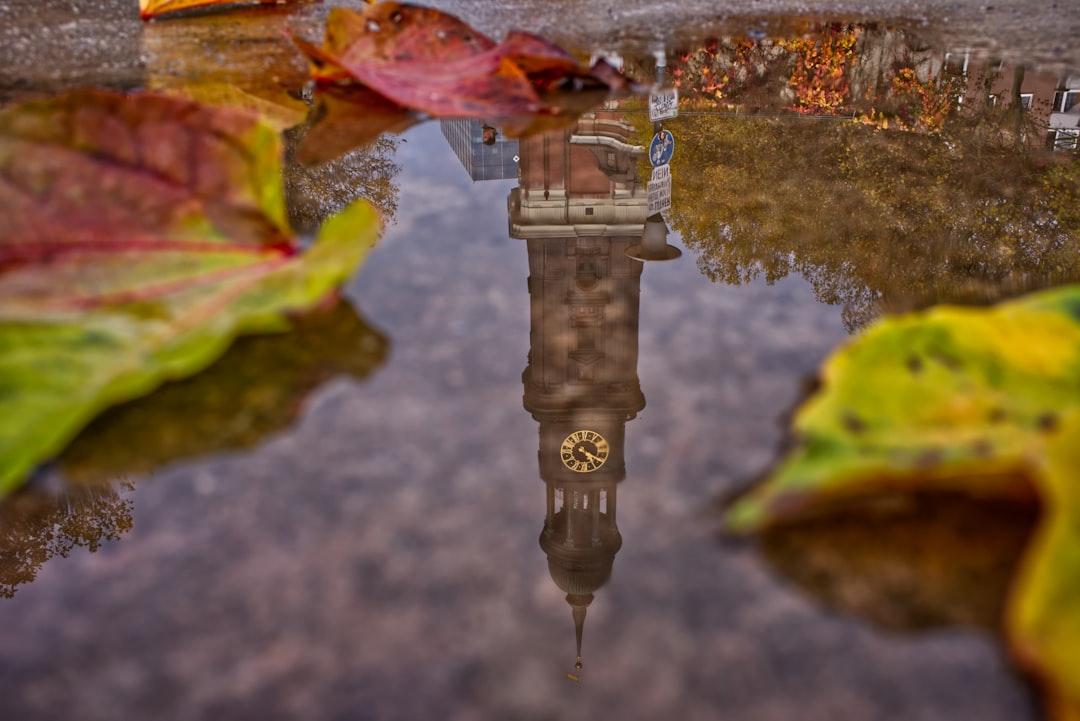 Puddle Jumping as an Adult
