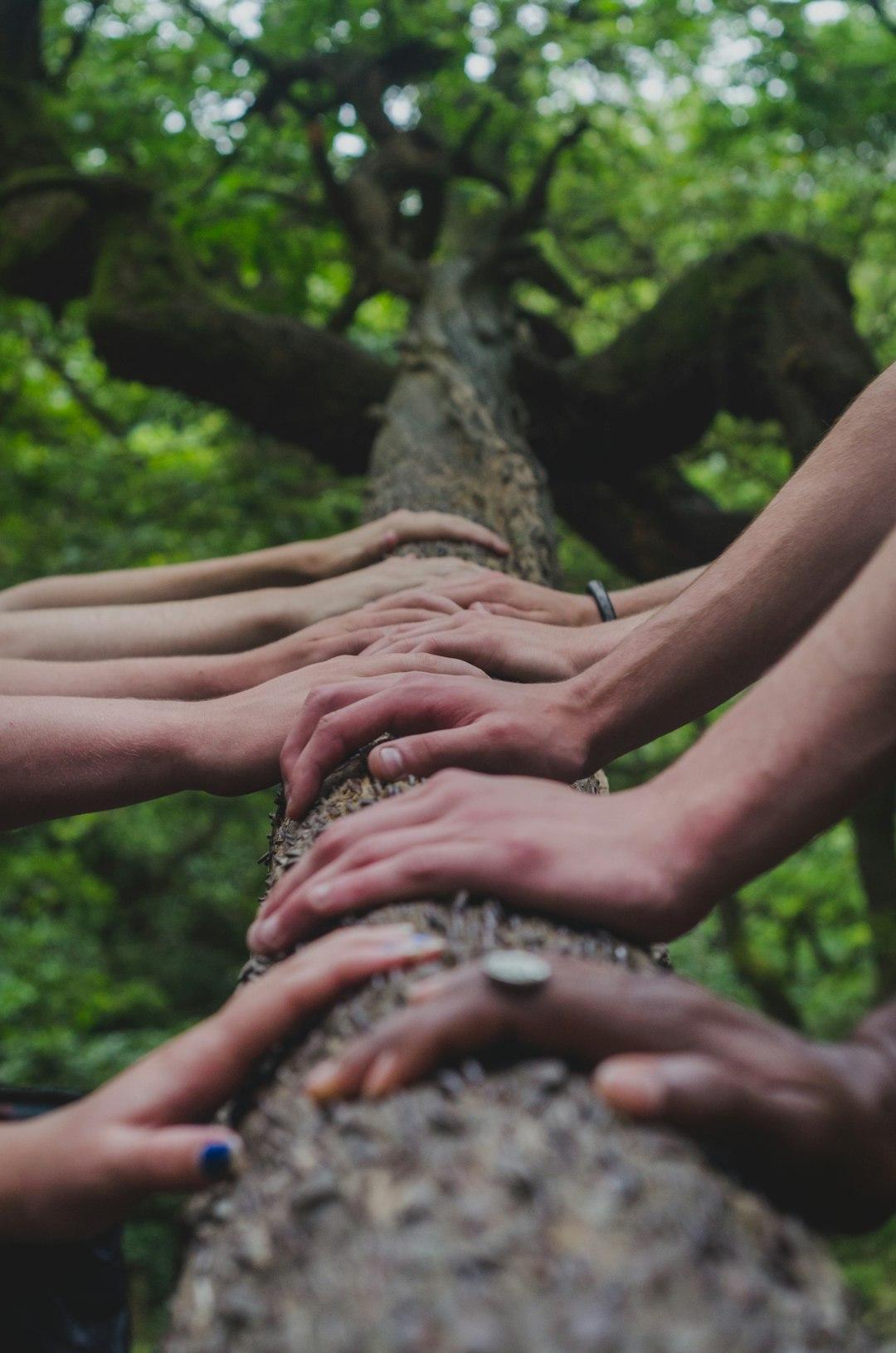 Fostering Genuine Connections