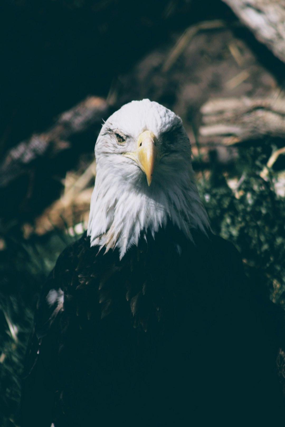 Discovering Strength in Stoicism