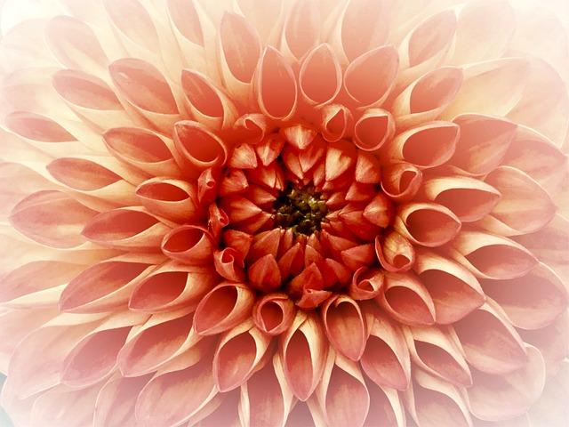 On Humility and Openness