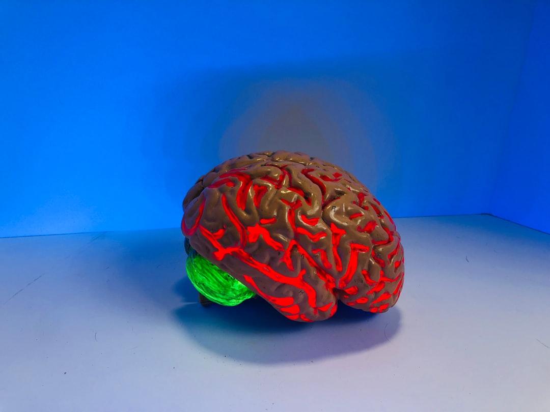 Brain Boosting Hack (I'm Shocked By The Results!)