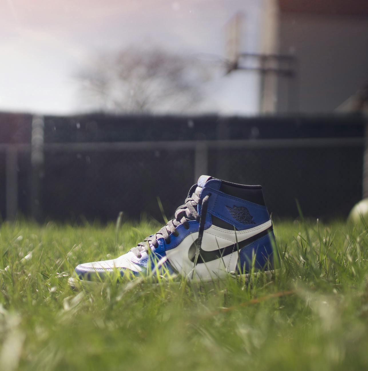 Phil Knight: Shoe Dog: A Memoir By The Creator Of Nike