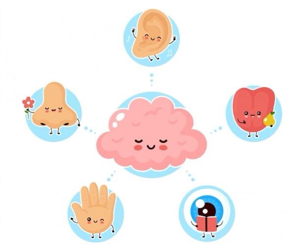 The Science of Sensory Marketing