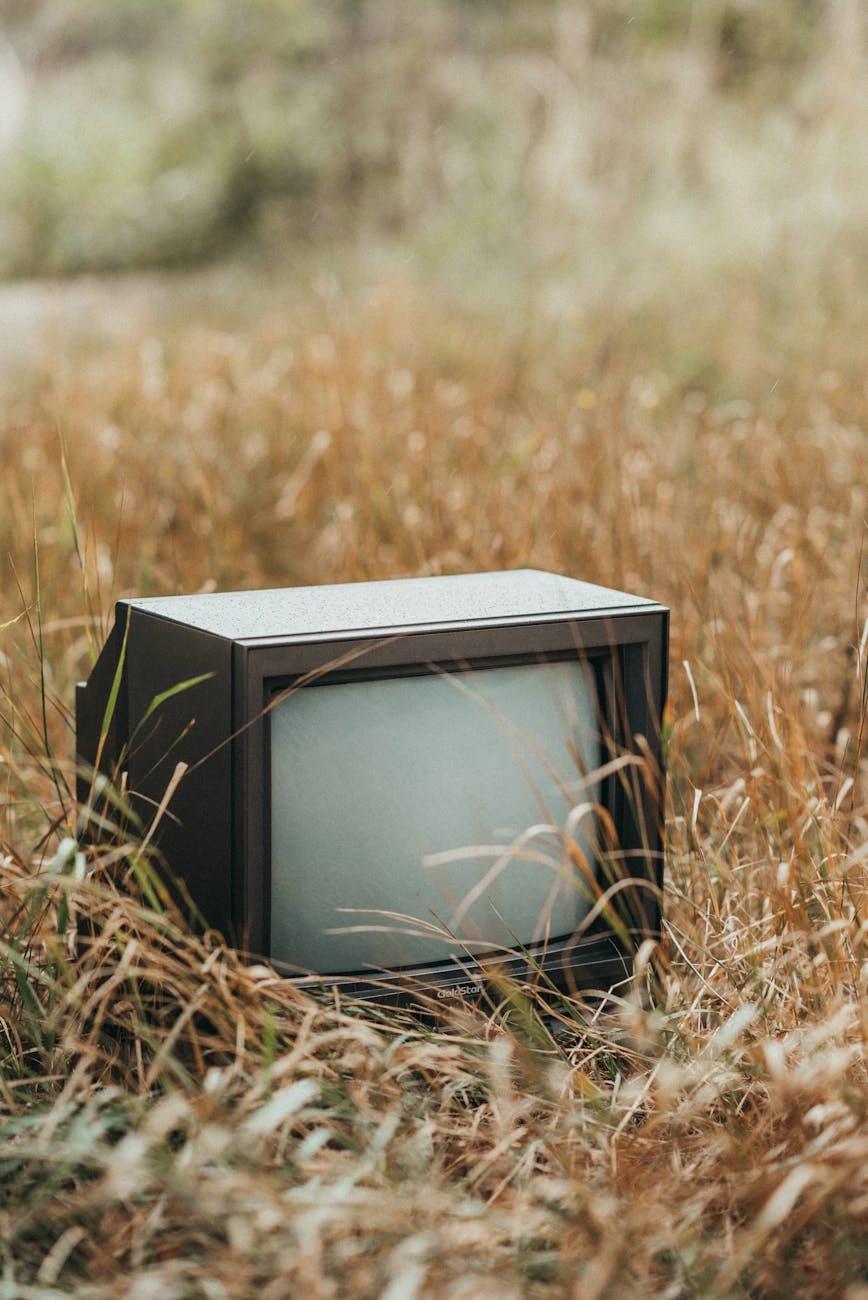 PAUL GRAHAM