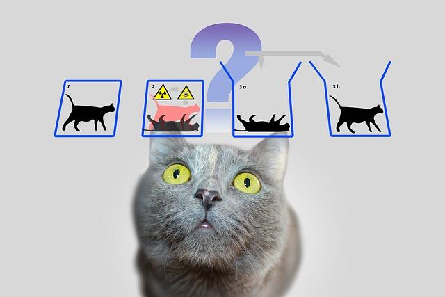 The AI Productivity Paradox