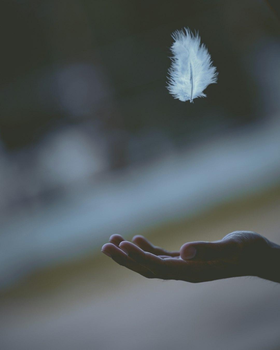 Calm & Still: Finding Peace in the Noise