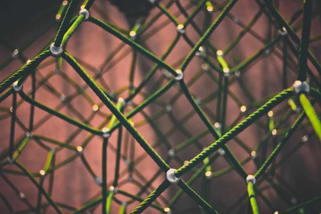 5. The Cross-Tool Integration Framework: Making Your Digital Tools Work Together
