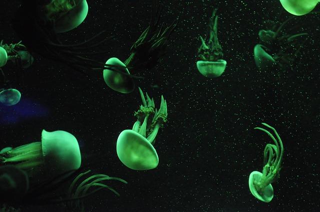 Life’s Origins: A Mystery Still Unsolved