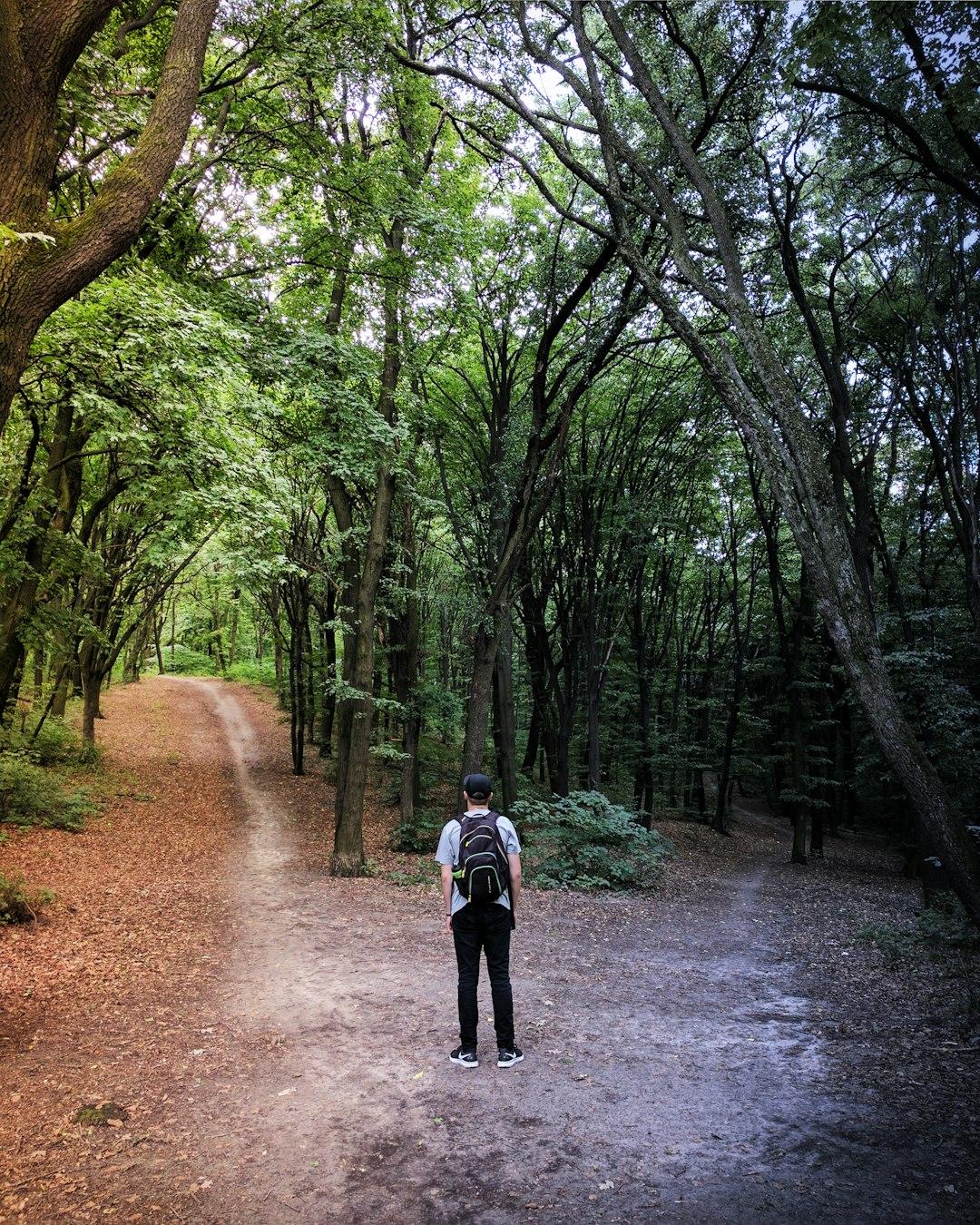 5 — The Decision Maker (1)