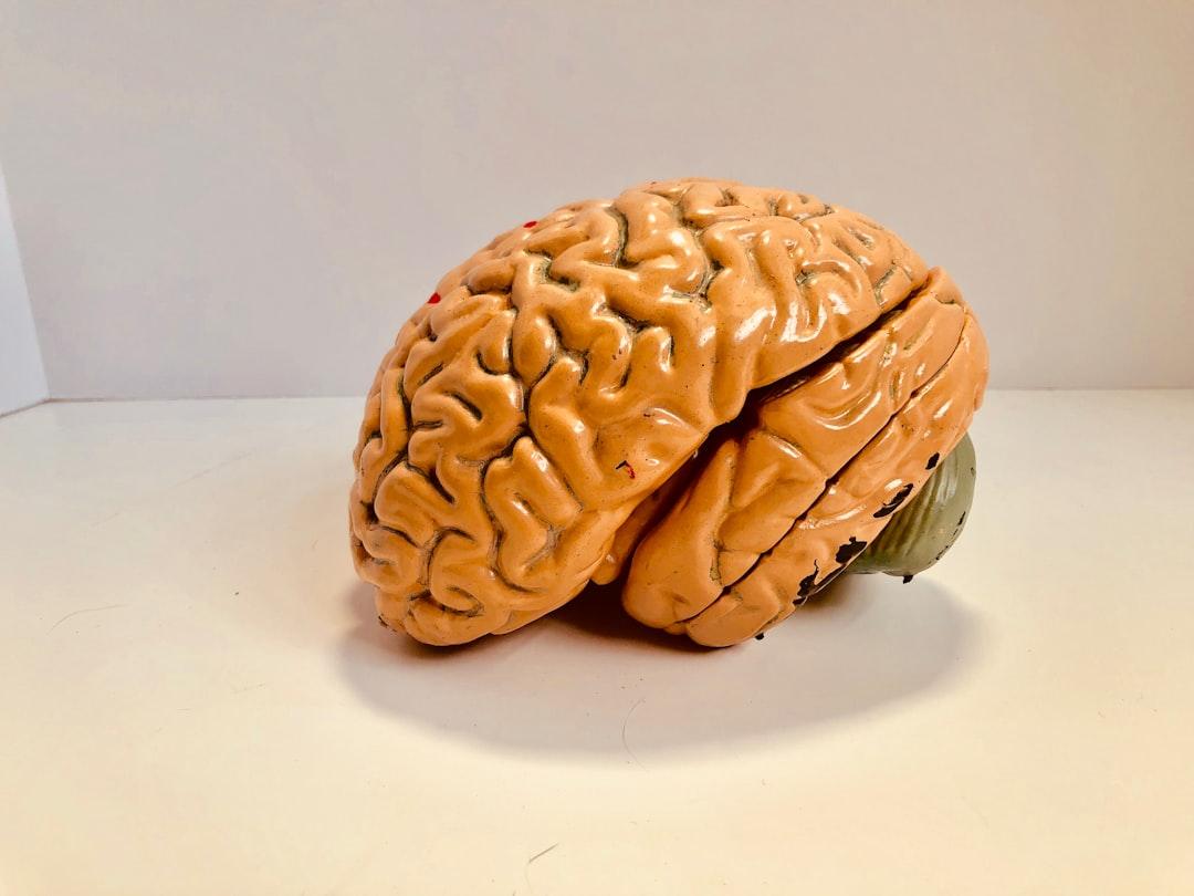The Subconscious Mind – The Connecting Link