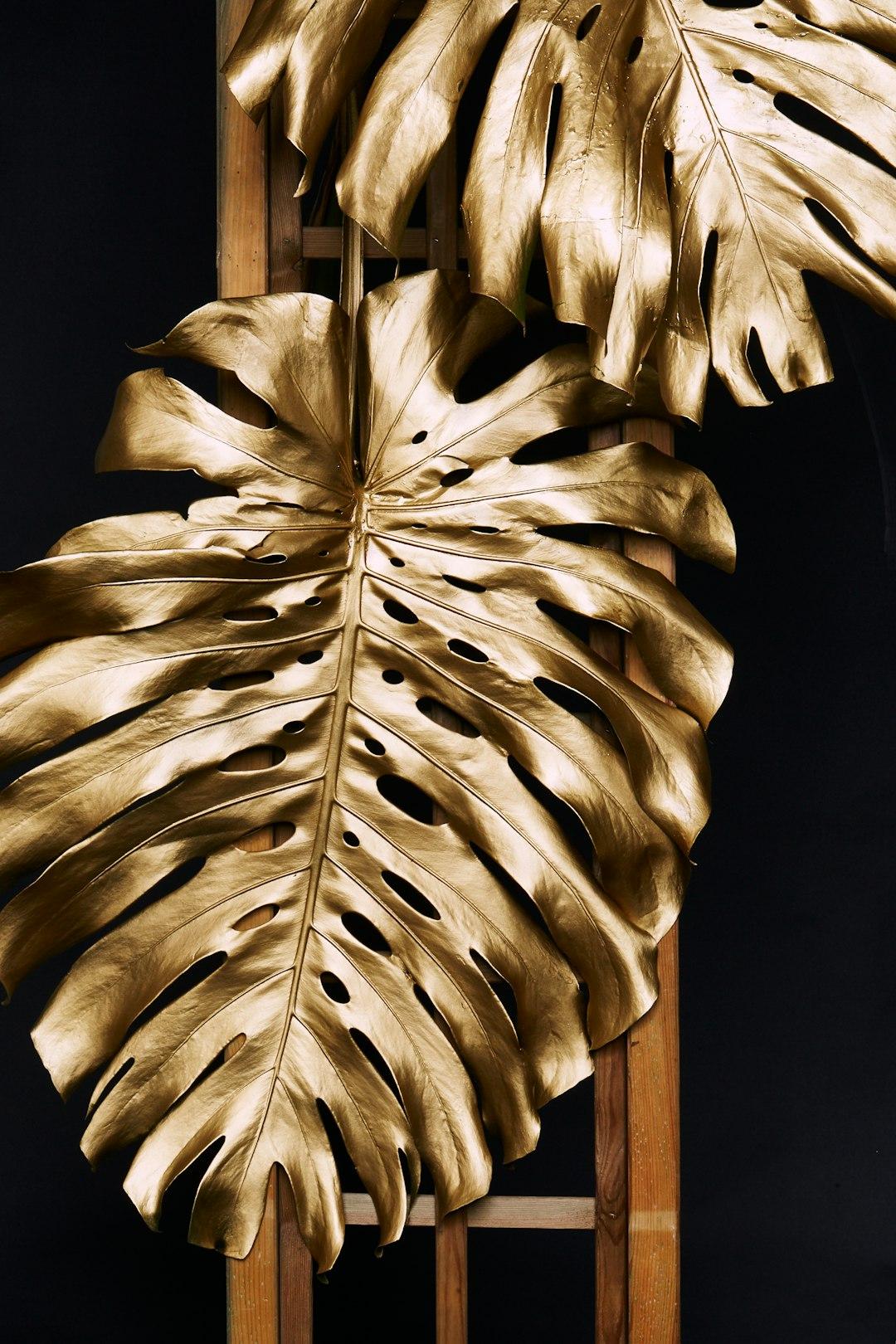 💰 6 Steps to Turn Desire into Gold