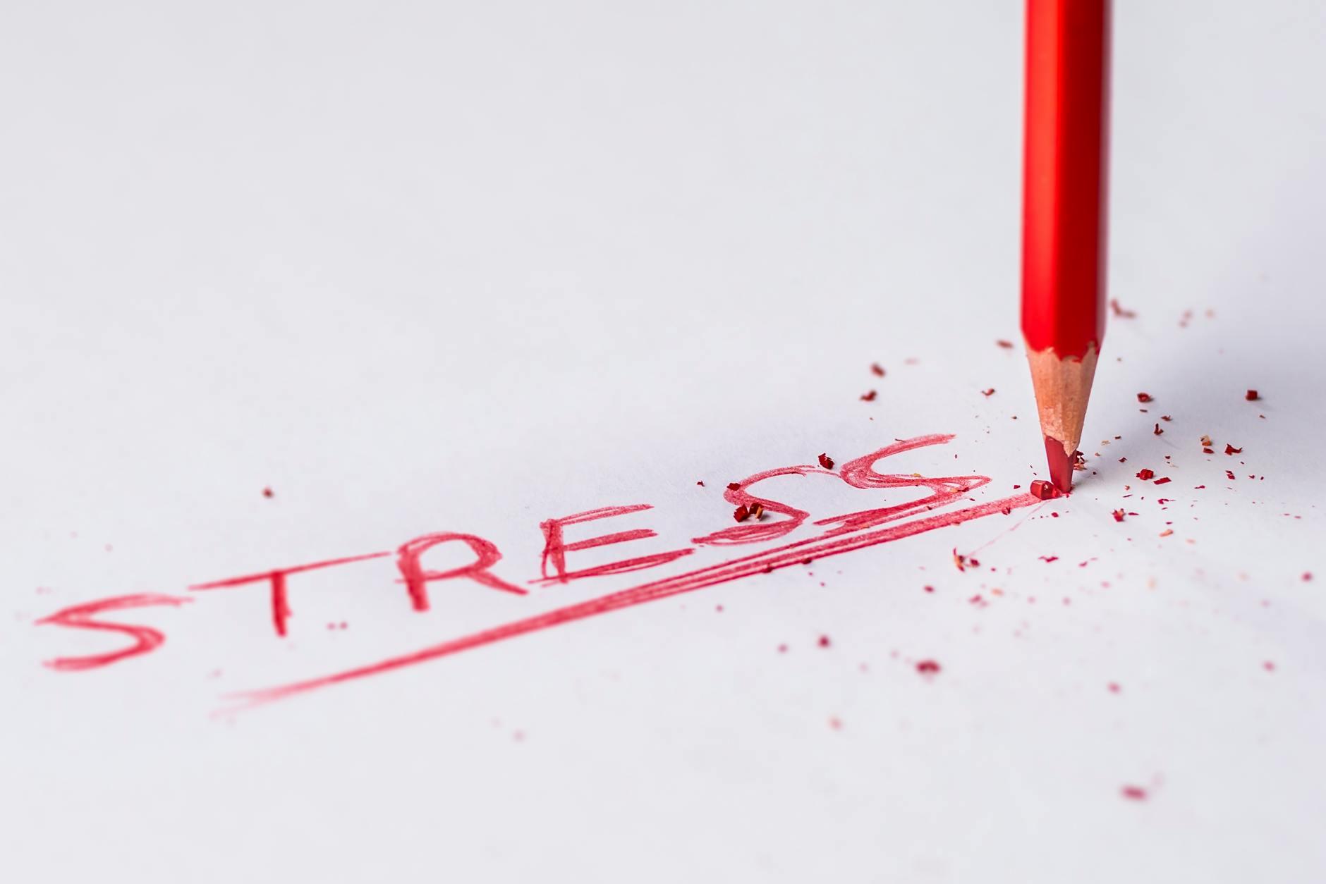 🧬What is Cortisol?