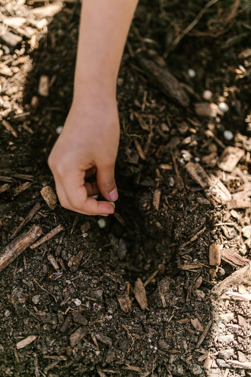 12. Planting Seeds